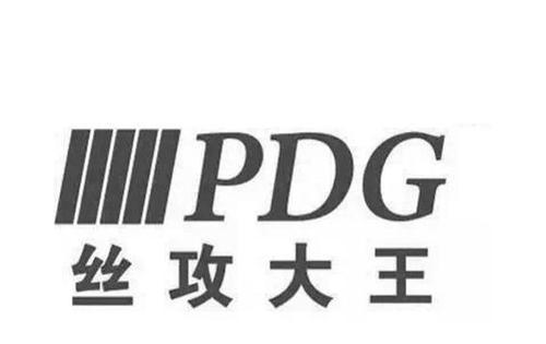 PDG格式转换及其应用领域探索（解读PDG格式的意义和转换方法，展望其在不同领域的应用前景）