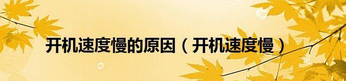 探究电脑运行速度慢的原因（分析电脑运行速度变慢的各种因素及解决方法）