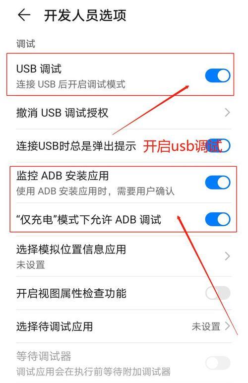 深入解析安卓开发者模式的功能和用途（探索安卓开发者模式的关键设置及其应用）