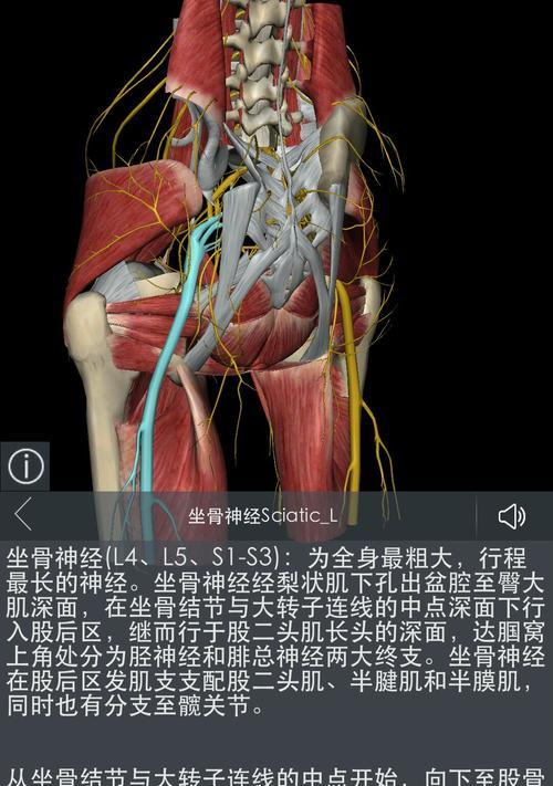 坐骨神经痛的治疗和缓解方法（有效控制坐骨神经痛）