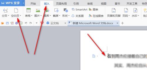 以文档末尾的空白页为主题的探讨（空白页的存在意义及应用领域的研究）