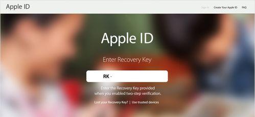 如何解锁被锁定的苹果手机ID（处理方法及注意事项）