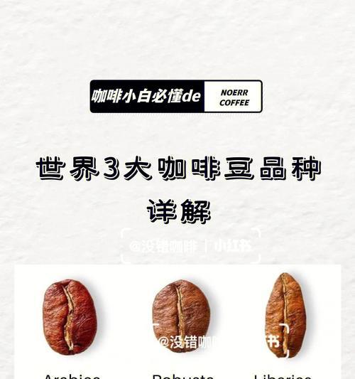 咖啡入门指南（从零开始）