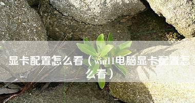 了解自己电脑显卡配置的重要性（提升电脑性能从显卡开始）