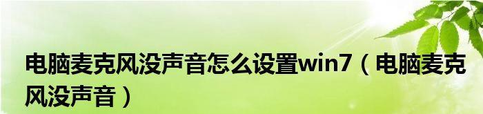 Win10麦克风没禁用没声音的原因及解决方法（探寻Win10系统中麦克风无声的背后原因）