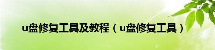 U盘修复方法详解（教你如何修复损坏的U盘）