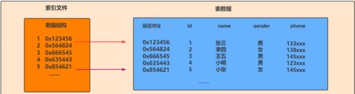 探索数据库系统的定义与重要性（从概念到实践）