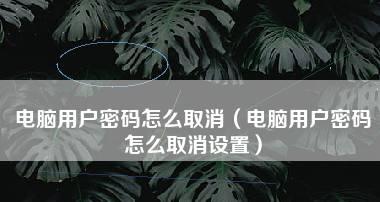 忘记电脑开机密码怎么解开（快速恢复电脑登陆权限的方法）