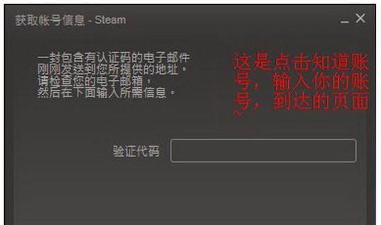 明明有网Steam更新却说没网怎么办（解决Steam显示无网问题的有效方法）