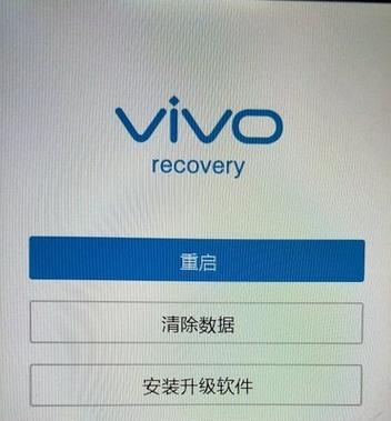 解密vivo手机密码的有效方法（用一种关键方法强制解锁vivo手机密码）