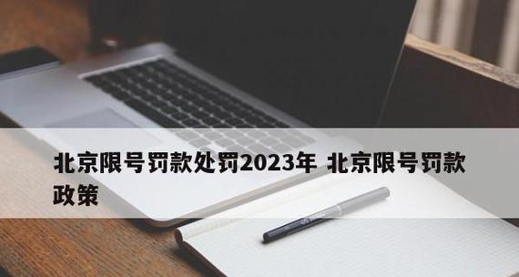 2024年播放软件排行榜揭晓——谁将成为最受欢迎的选择（以用户体验为核心）