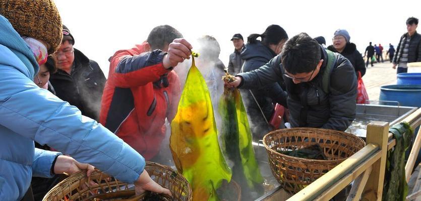 海边长寿菜（探索寿命秘密）