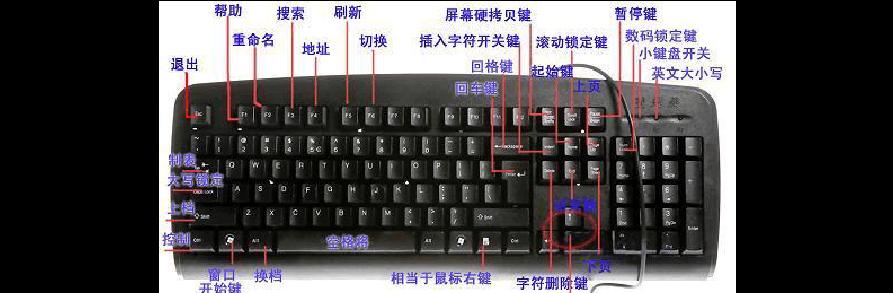 电脑键盘的使用与认识（掌握电脑键盘的技巧）